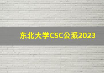 东北大学CSC公派2023