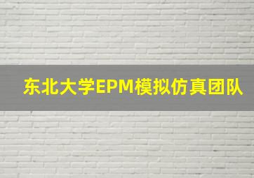 东北大学EPM模拟仿真团队