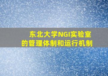 东北大学NGI实验室的管理体制和运行机制