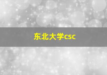 东北大学csc