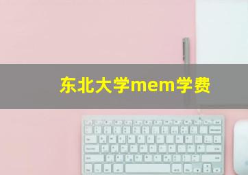 东北大学mem学费