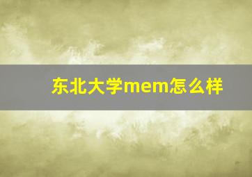 东北大学mem怎么样