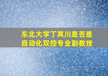 东北大学丁其川是否是自动化双控专业副教授