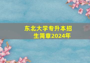 东北大学专升本招生简章2024年