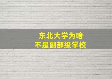 东北大学为啥不是副部级学校