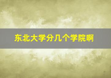 东北大学分几个学院啊