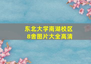 东北大学南湖校区8舍图片大全高清