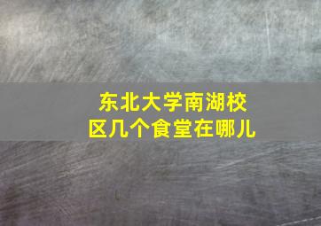 东北大学南湖校区几个食堂在哪儿