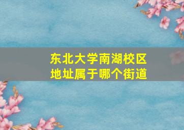 东北大学南湖校区地址属于哪个街道