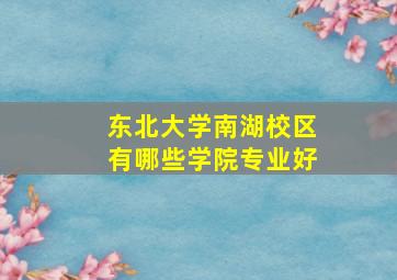 东北大学南湖校区有哪些学院专业好