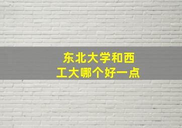 东北大学和西工大哪个好一点