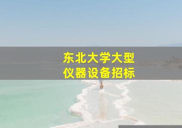 东北大学大型仪器设备招标