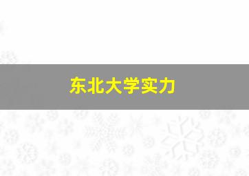 东北大学实力