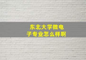 东北大学微电子专业怎么样啊