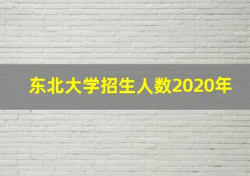 东北大学招生人数2020年