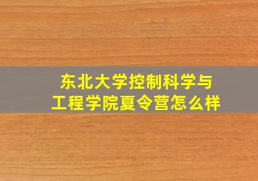 东北大学控制科学与工程学院夏令营怎么样