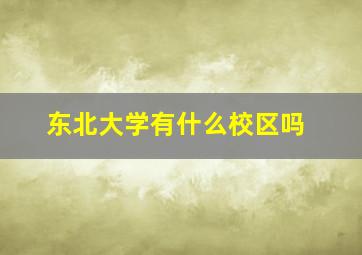 东北大学有什么校区吗