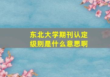 东北大学期刊认定级别是什么意思啊