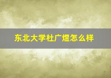 东北大学杜广煜怎么样