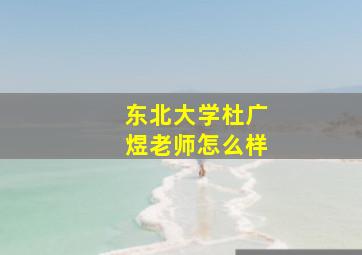 东北大学杜广煜老师怎么样