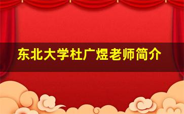 东北大学杜广煜老师简介