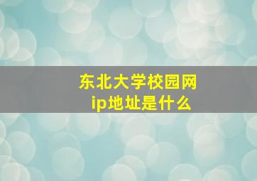 东北大学校园网ip地址是什么