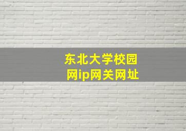 东北大学校园网ip网关网址