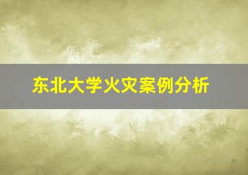 东北大学火灾案例分析