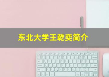 东北大学王乾奕简介