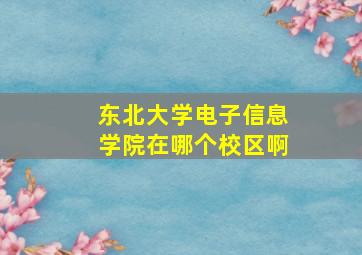 东北大学电子信息学院在哪个校区啊