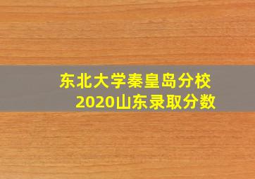 东北大学秦皇岛分校2020山东录取分数