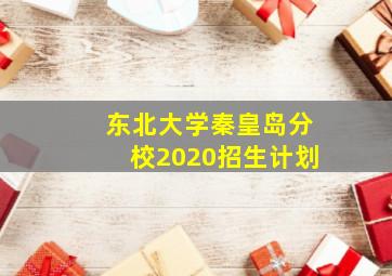 东北大学秦皇岛分校2020招生计划