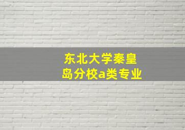 东北大学秦皇岛分校a类专业