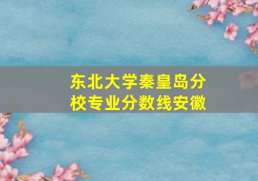 东北大学秦皇岛分校专业分数线安徽