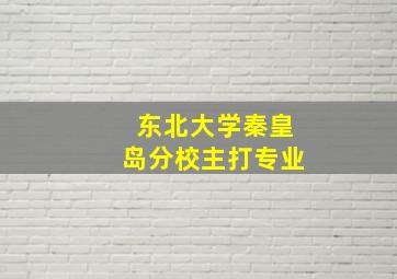 东北大学秦皇岛分校主打专业