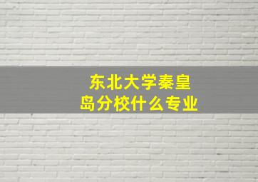 东北大学秦皇岛分校什么专业