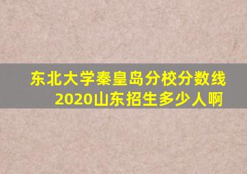 东北大学秦皇岛分校分数线2020山东招生多少人啊