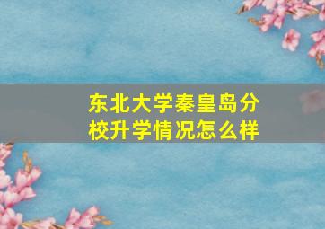 东北大学秦皇岛分校升学情况怎么样