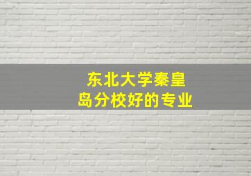 东北大学秦皇岛分校好的专业