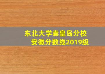 东北大学秦皇岛分校安徽分数线2019级