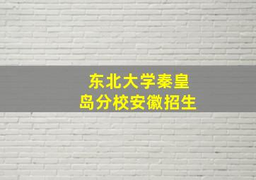 东北大学秦皇岛分校安徽招生