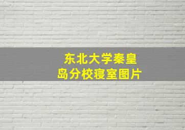 东北大学秦皇岛分校寝室图片