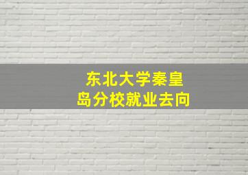 东北大学秦皇岛分校就业去向