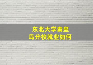 东北大学秦皇岛分校就业如何