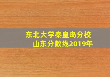 东北大学秦皇岛分校山东分数线2019年