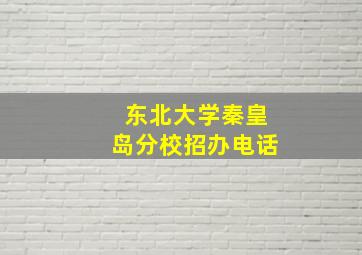 东北大学秦皇岛分校招办电话