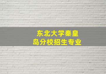 东北大学秦皇岛分校招生专业