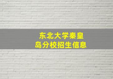 东北大学秦皇岛分校招生信息