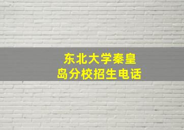 东北大学秦皇岛分校招生电话