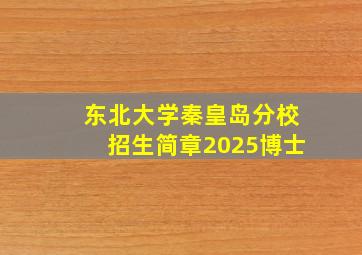 东北大学秦皇岛分校招生简章2025博士